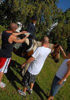 В конюшне поимел двух наездниц 17 фотография В конюшне поимел двух наездниц 17 фотография