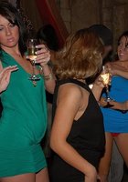 Милашки лижут друг дружке 32 фото