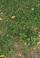 Ебутся в кустах 9 фотография Ебутся в кустах 9 фотография