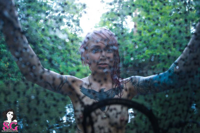 Веном купается в лесной реке 38 фотография