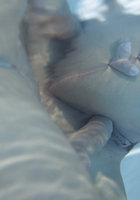 Влюбленная парочка занялась сексом в бассейне 4 фото