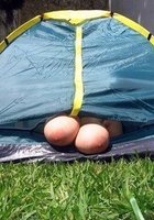 Сексуальные фифочки готовы примерить на себя любой образ 14 фотография