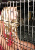 Милая рабыня Jessie Andrews раздевается в клетке 1 фотография