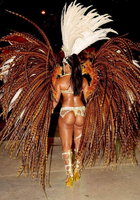 Нарядные танцовщицы щеголяют по улицам на карнавале в Рио 13 фотография